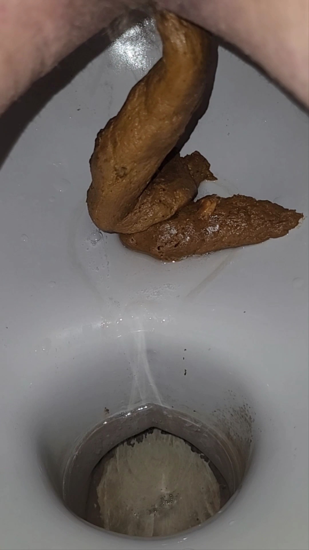 Too much shit for the toilet