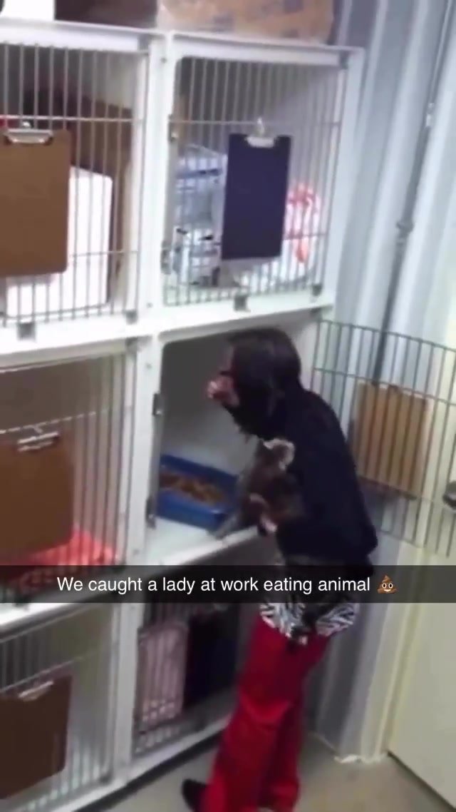 Hidden cam caught girl eating animal shit