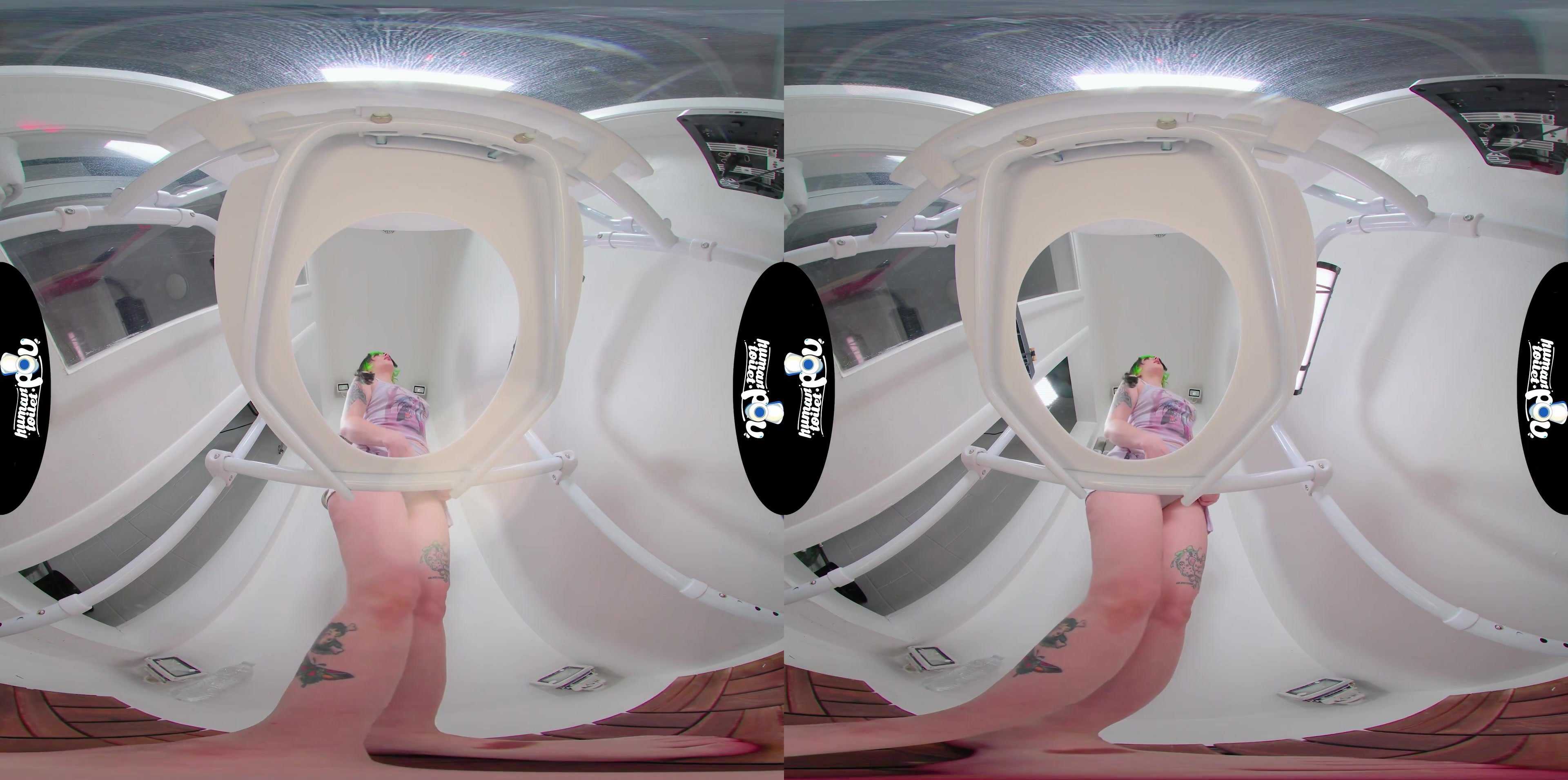 Toilet VR Cam1