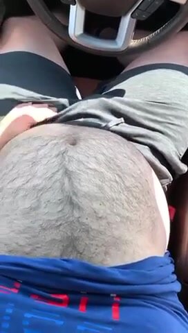 Car bear belly