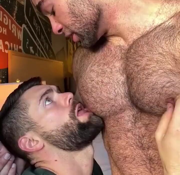 Sucking and licking hairy chest