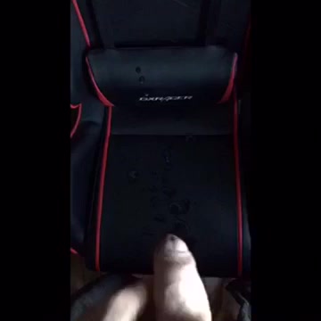 Spray cum and piss over my gaming chair
