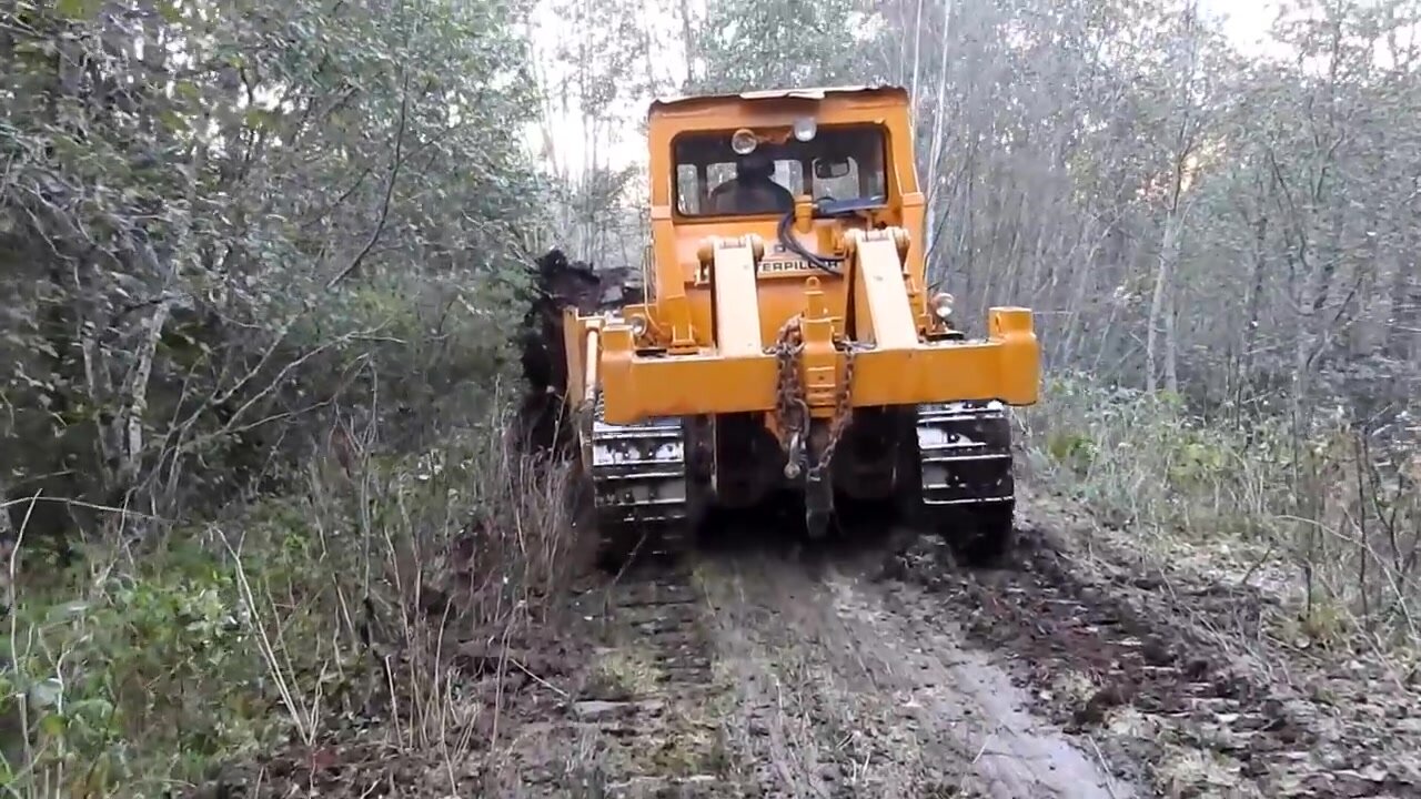 Bulldozer making logging roads
