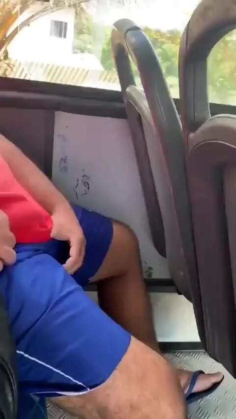 Public transportation fun