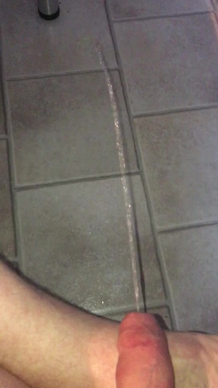 Relaxed piss on kitchen floor