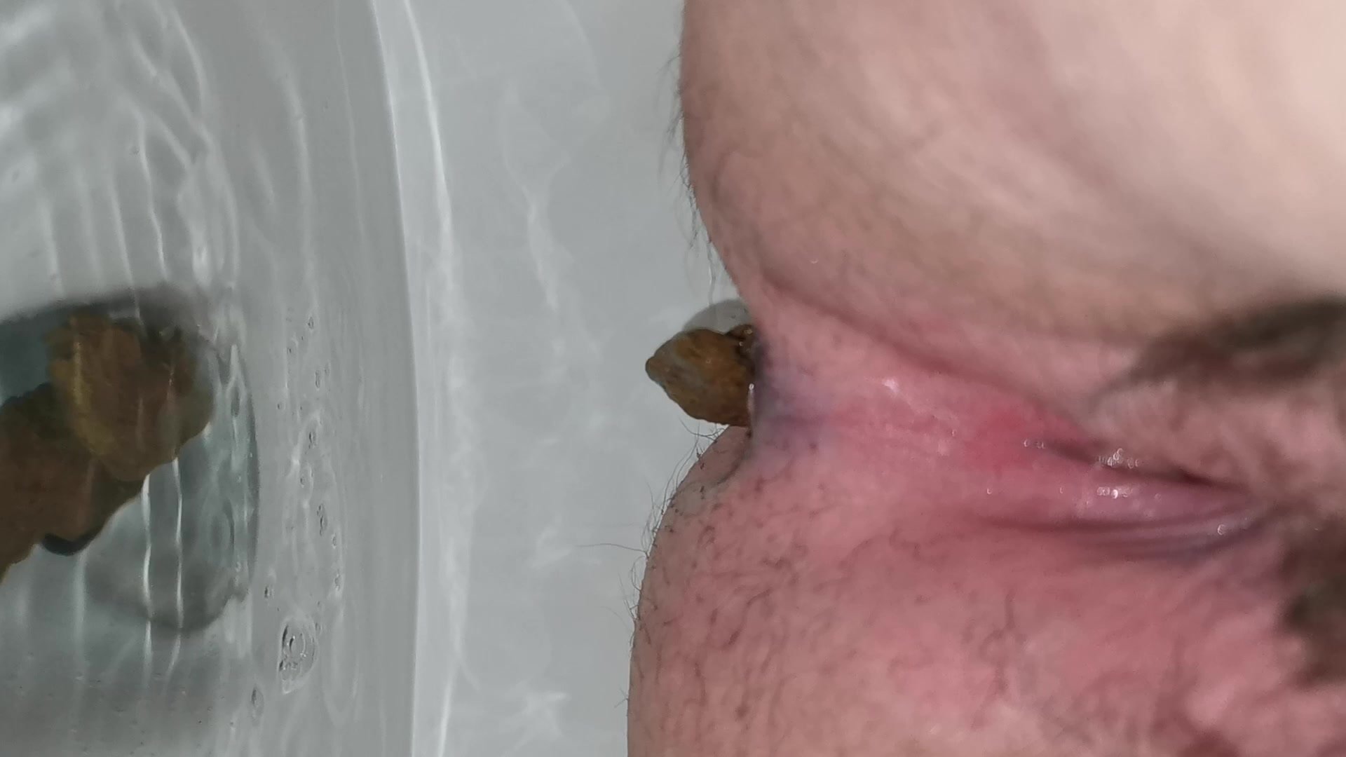 Piss and Shit 2