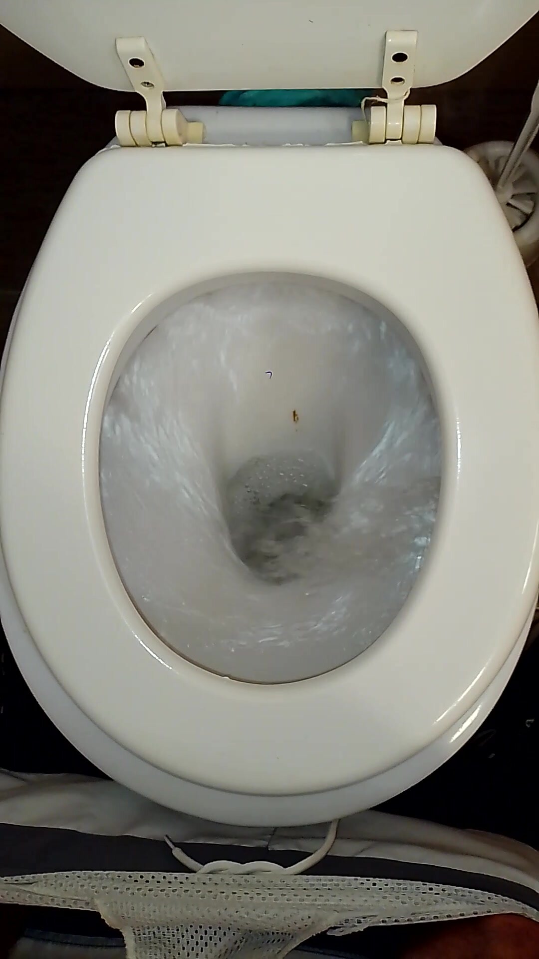 flushing shit