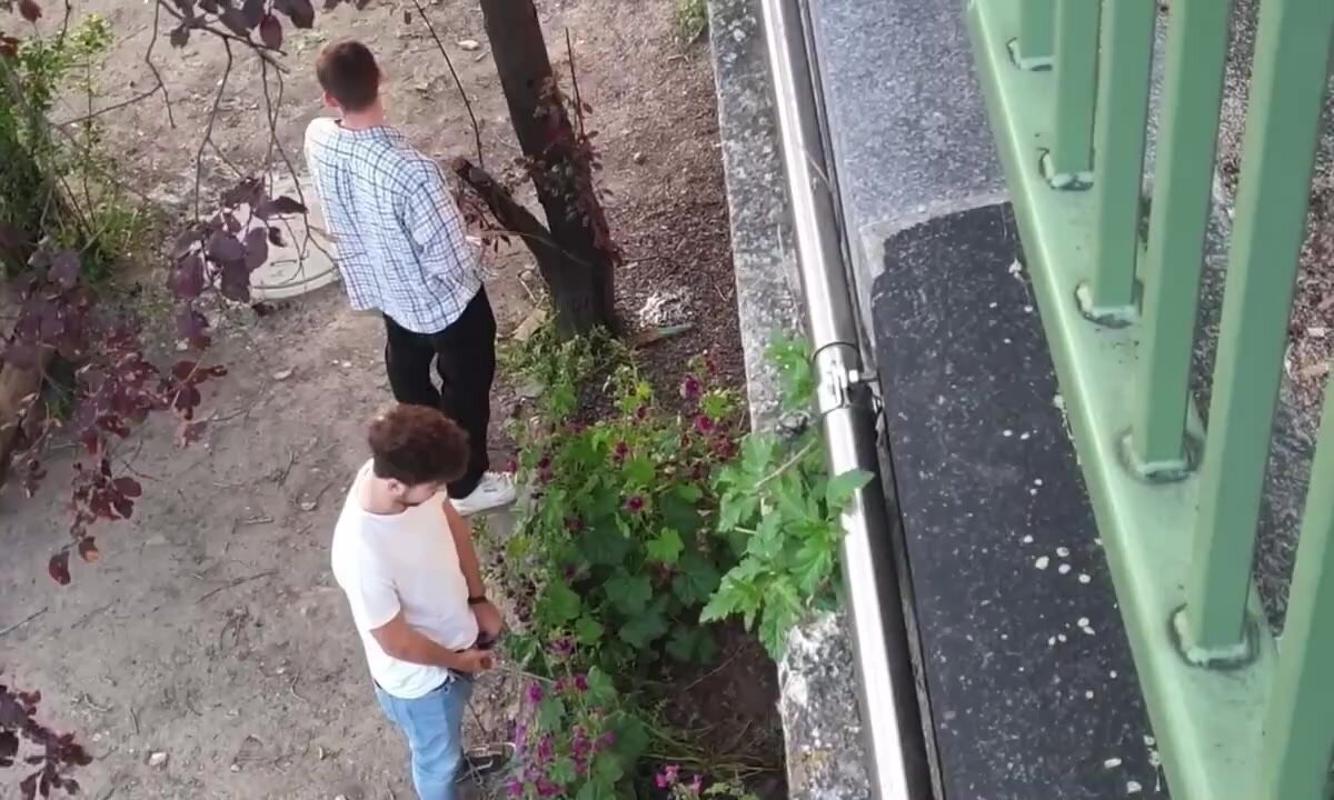 Men caught pissing on plants