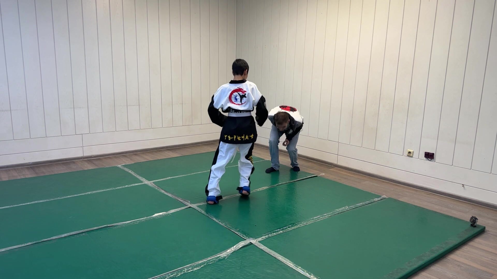 taekwondo boy  kicking