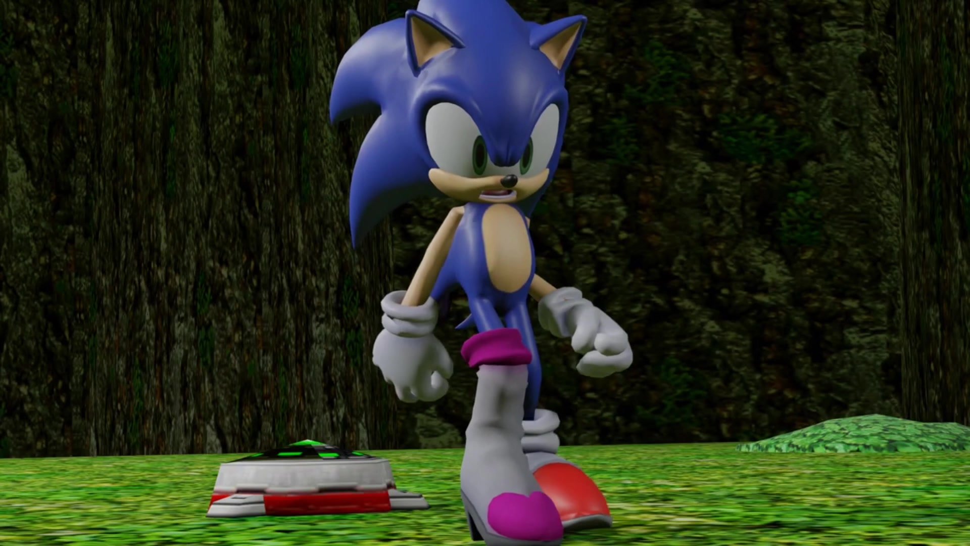 Sonic into Rogue transformation