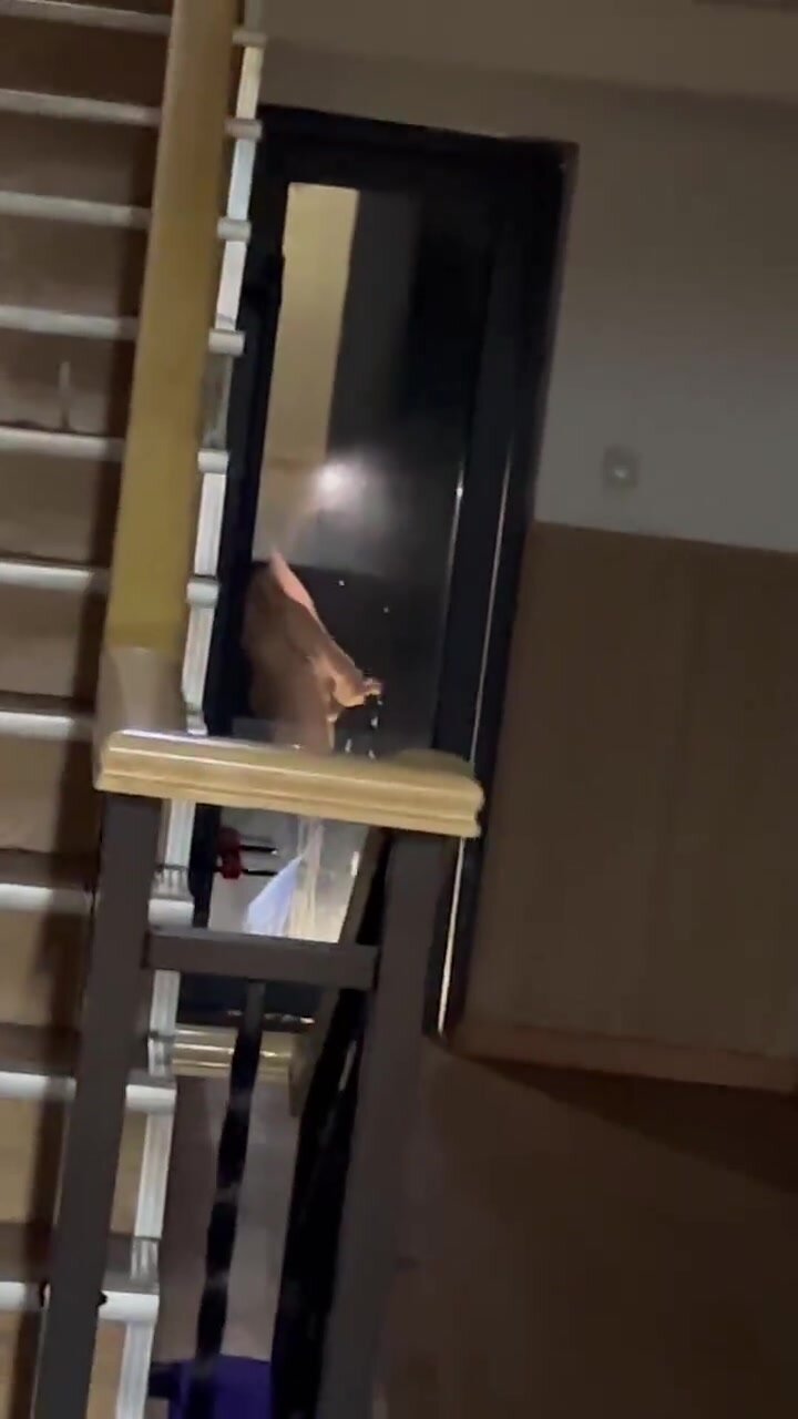 Guy cumming in public