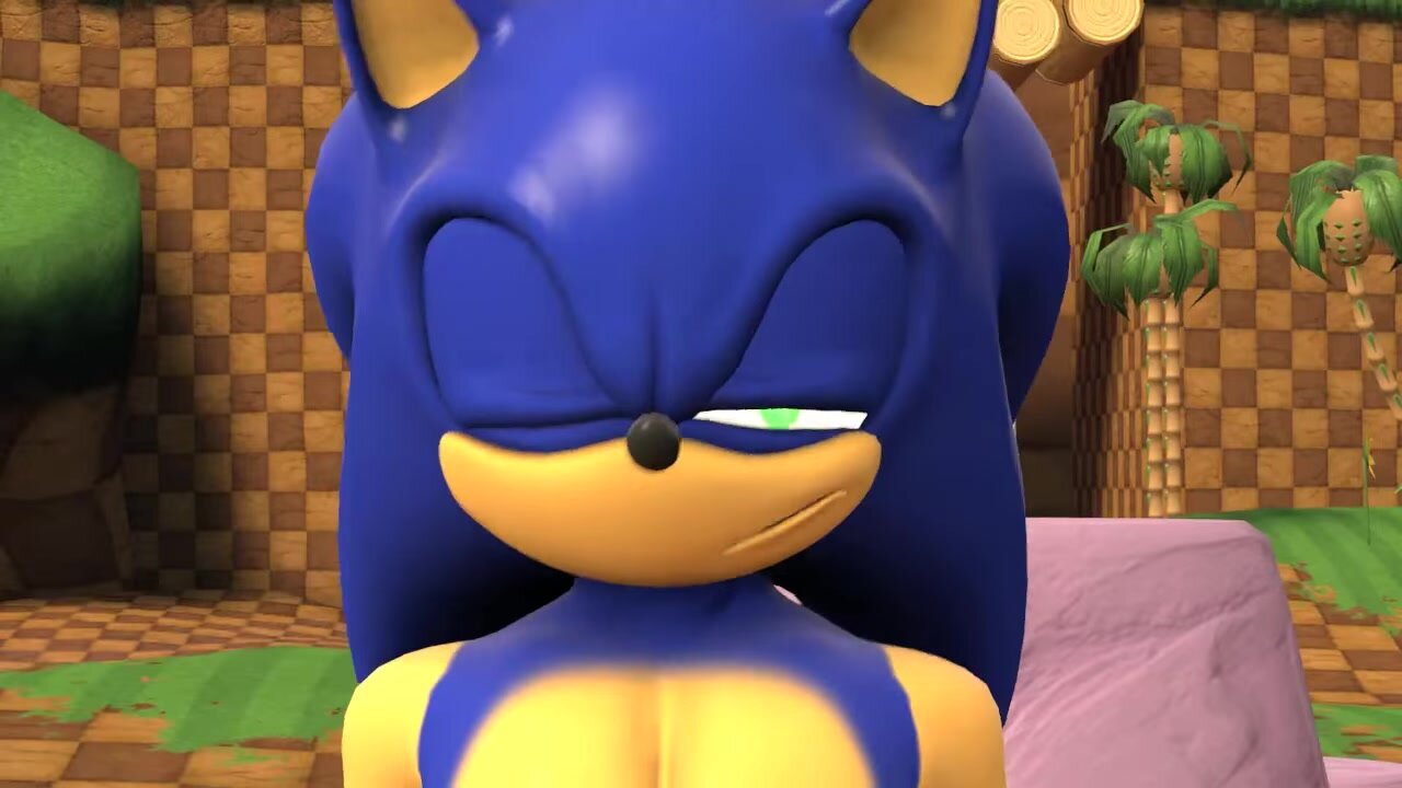Sonic and Tails Farting (short  vid)
