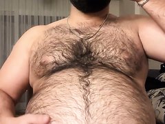 fat arab hairy bear belly
