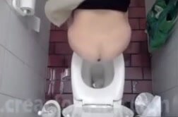 Huge desperate dump in public toilet