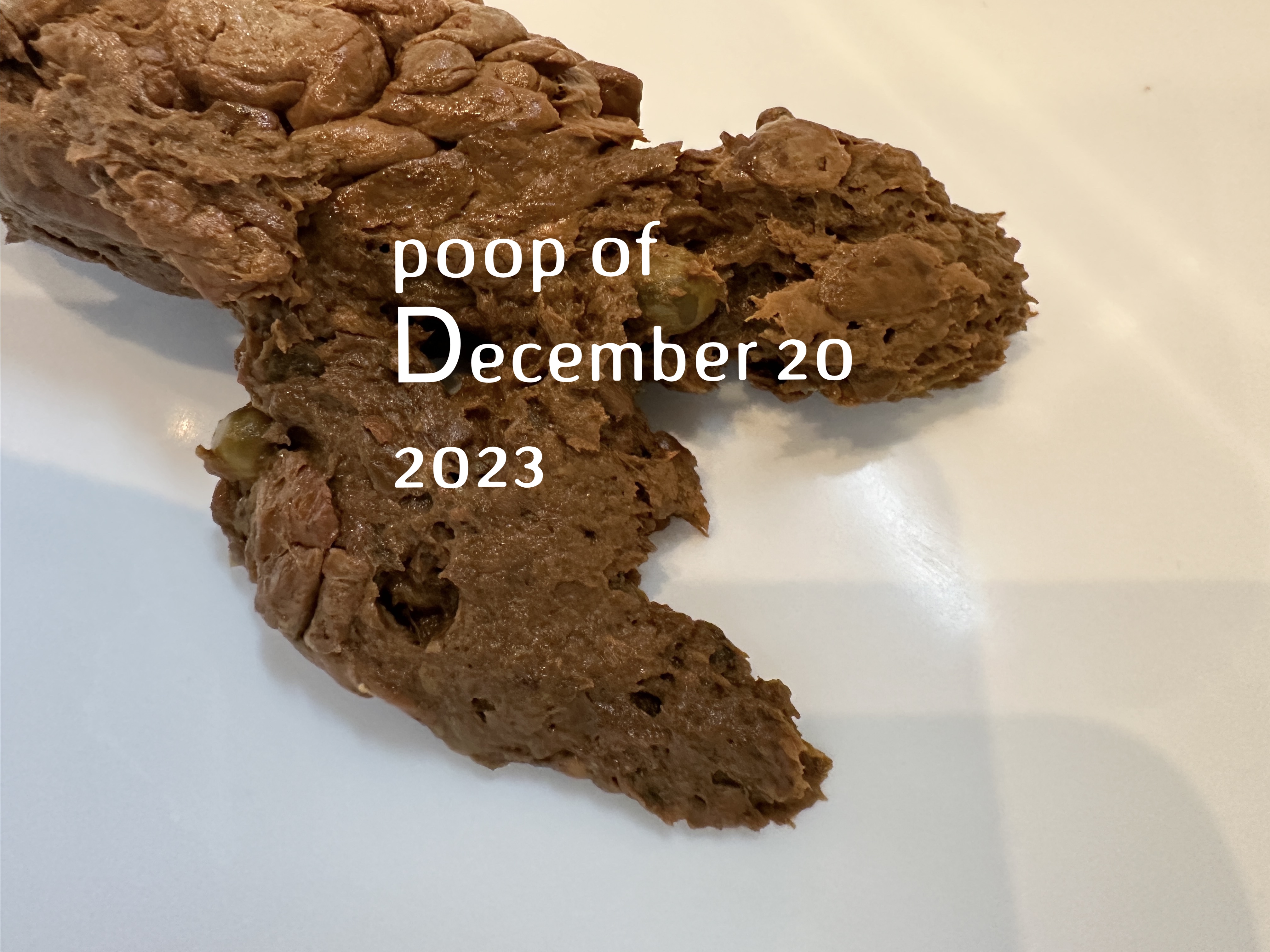My poop of December 20 2023