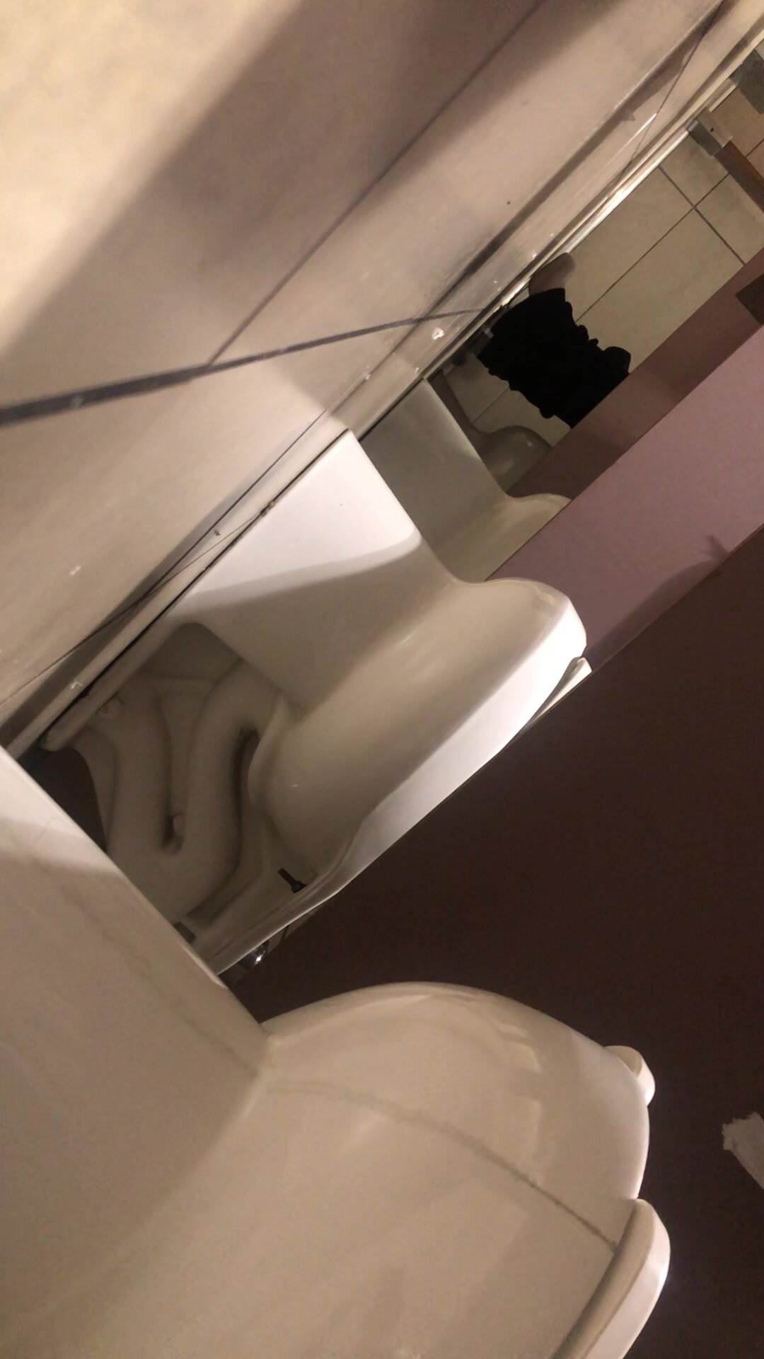 Mall girls bathroom understall