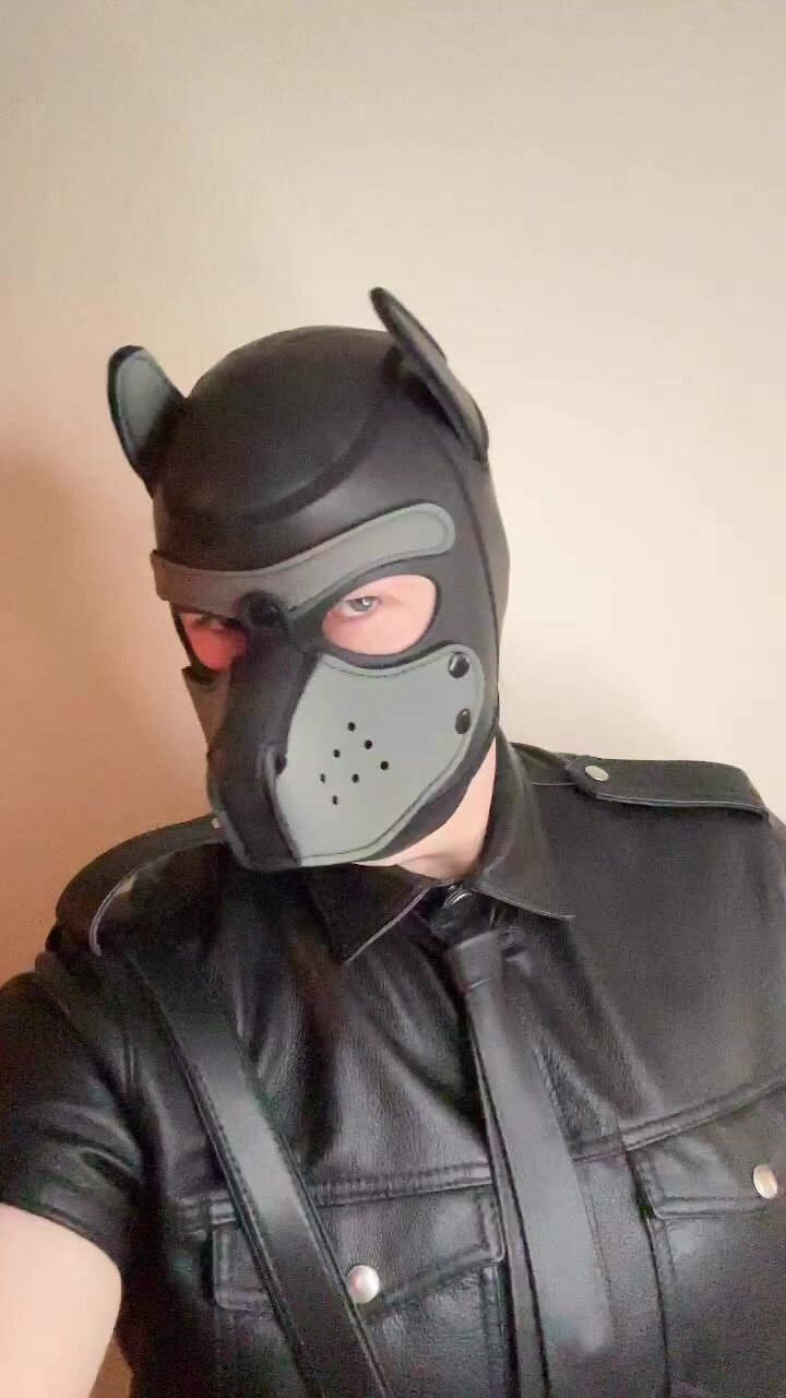 Leather Pup 1