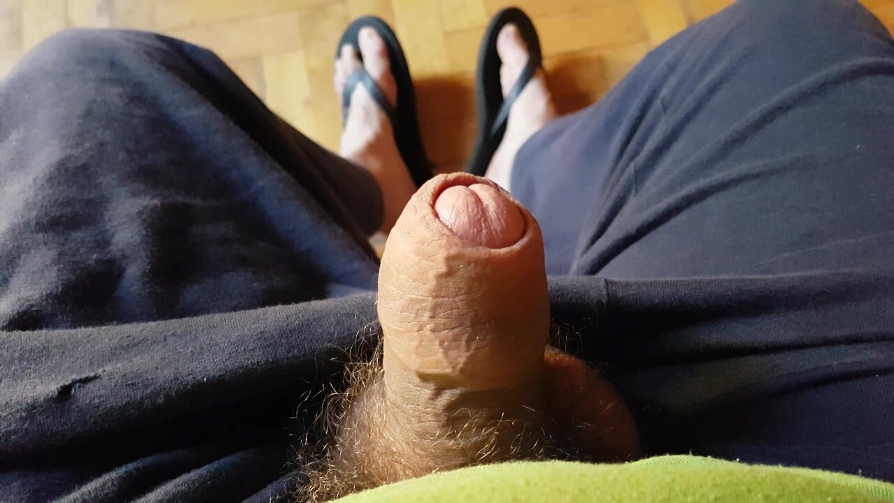 My cock this morning