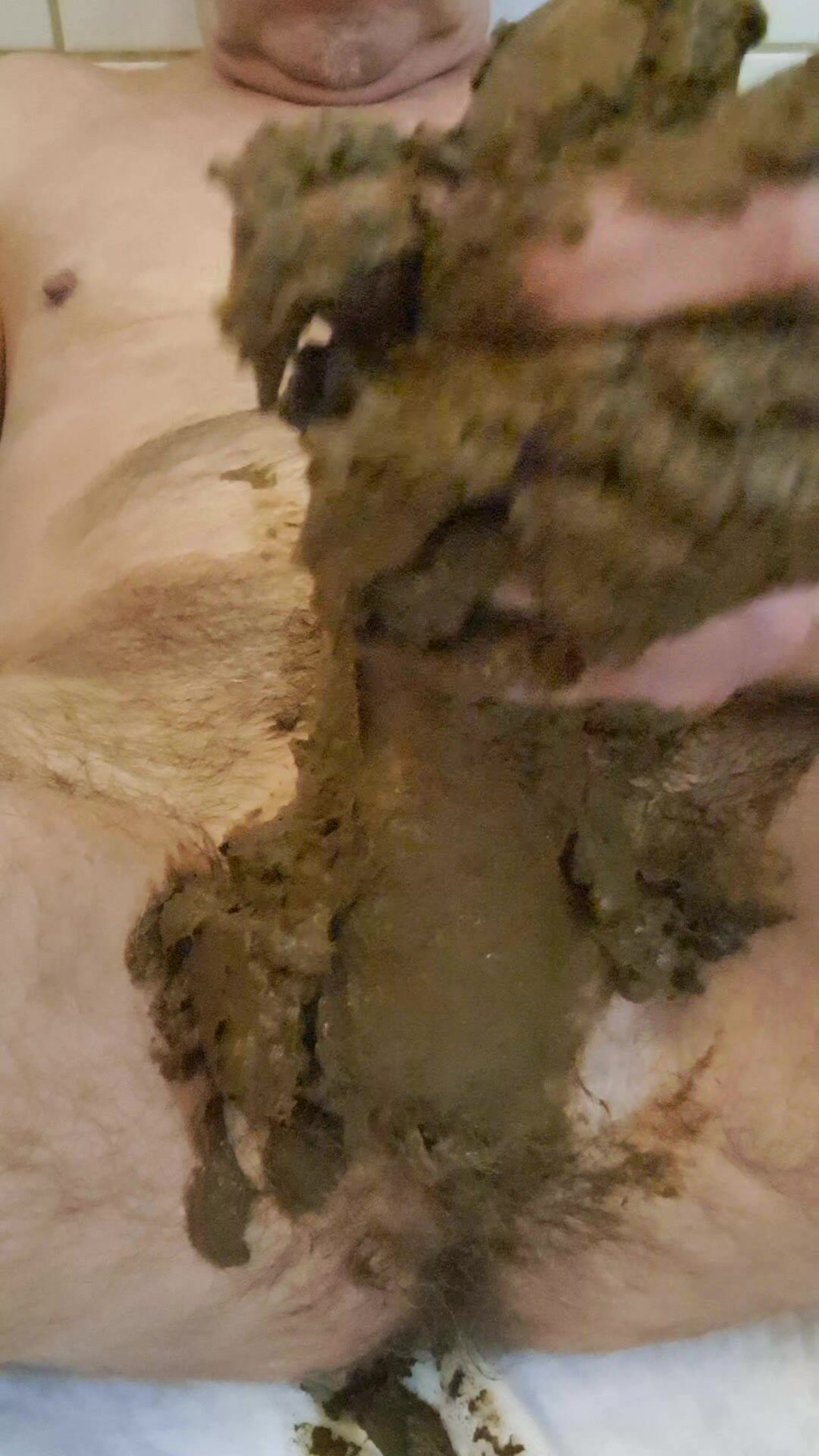 Cock with scat