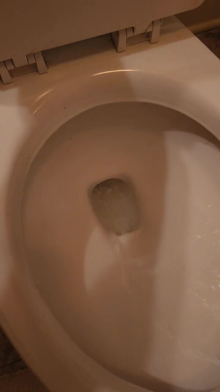 VS panty flush