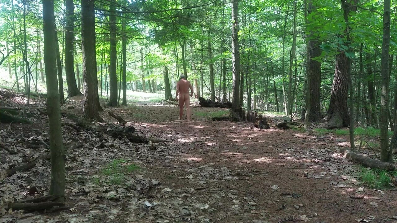 Mature Naked Woods Walk