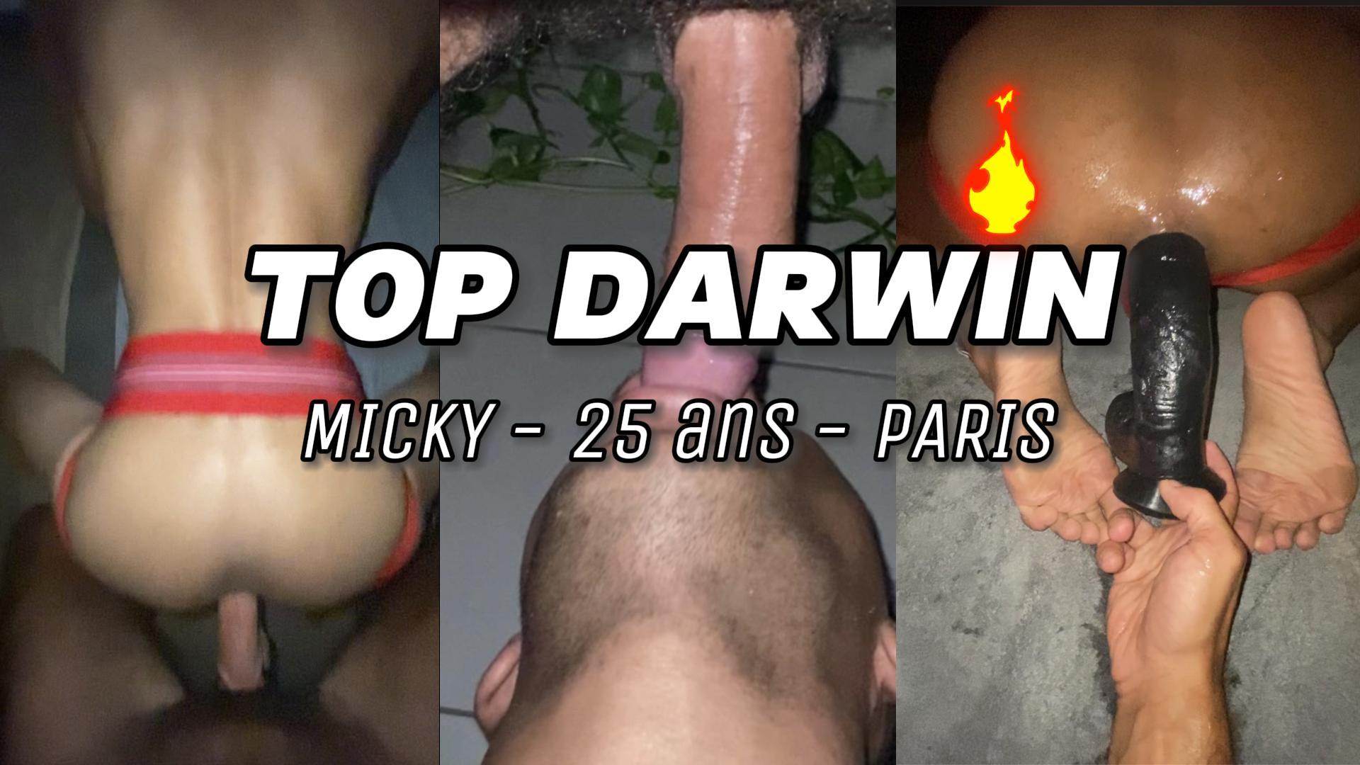 Teaser TopDarwin/Micky
