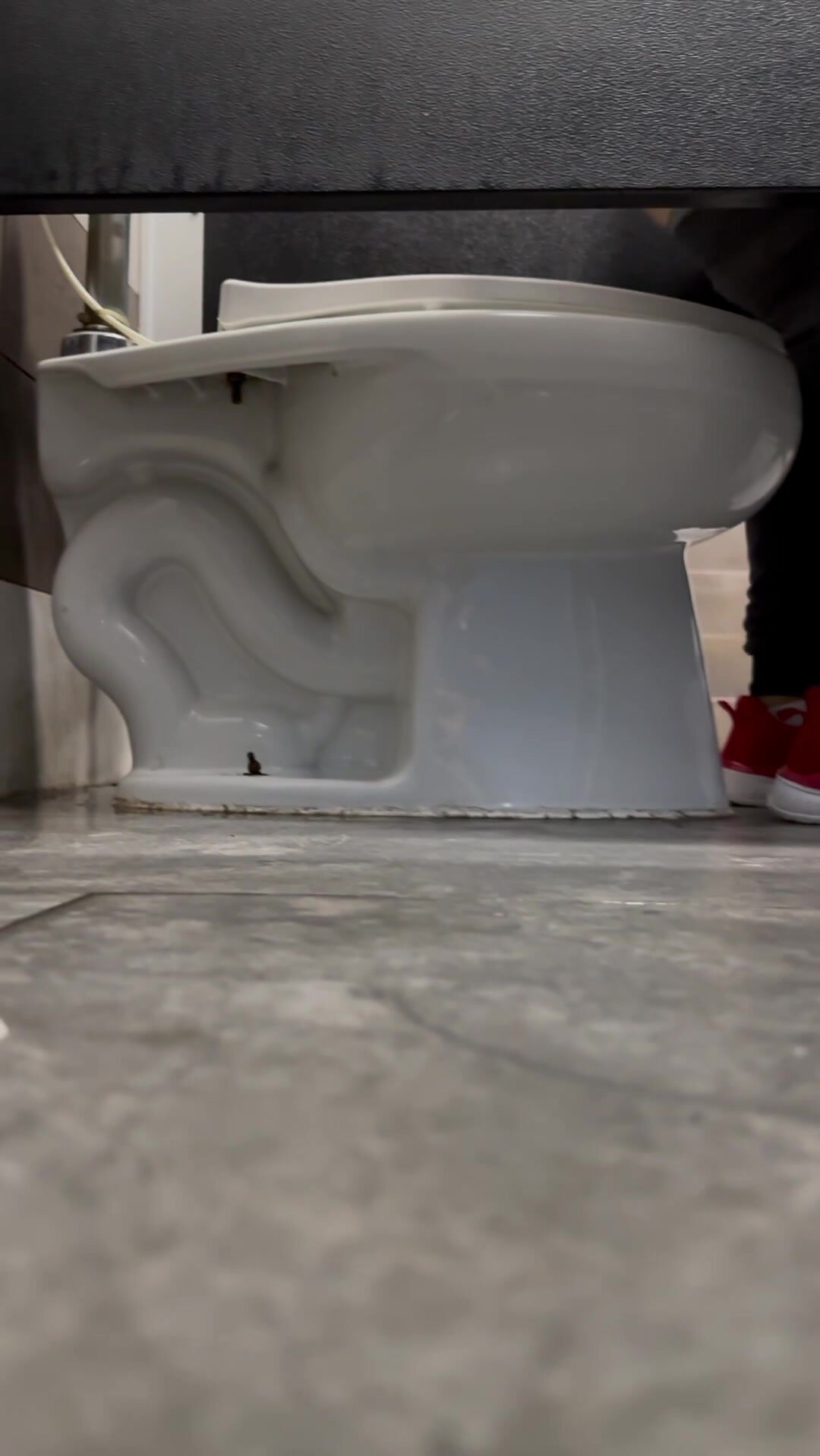 Guy pooping - video 12