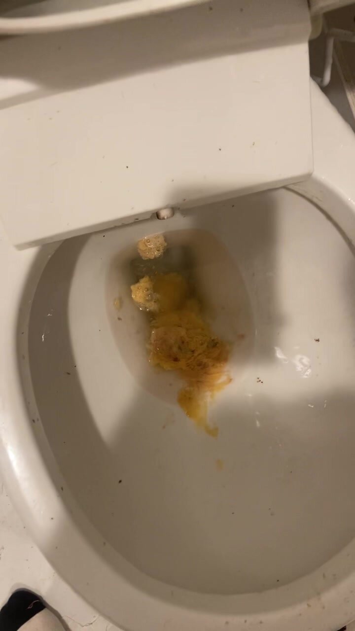 Spewing Thick Vomit into Toilet