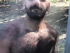 showering bear in the woods