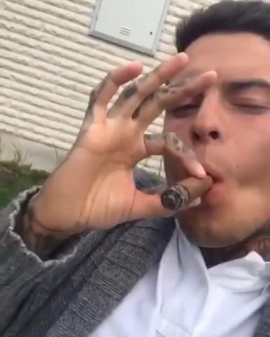 Cigar - video 31