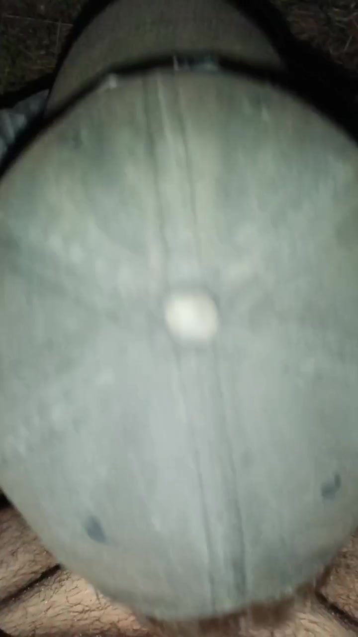 turkish - video 760