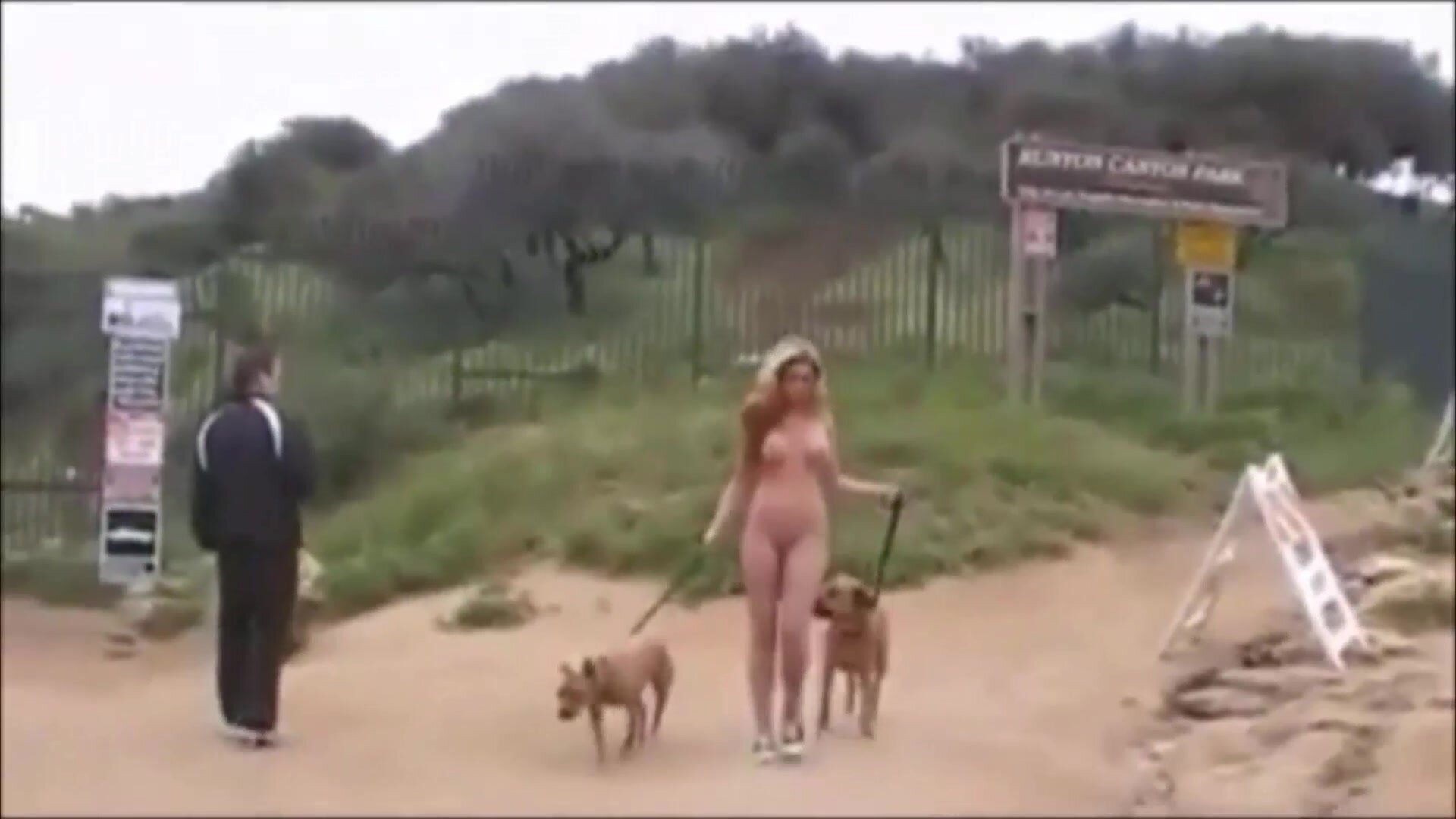 nude girl walking her dogs at the park