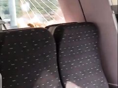 Irish Italian guy wanking on train