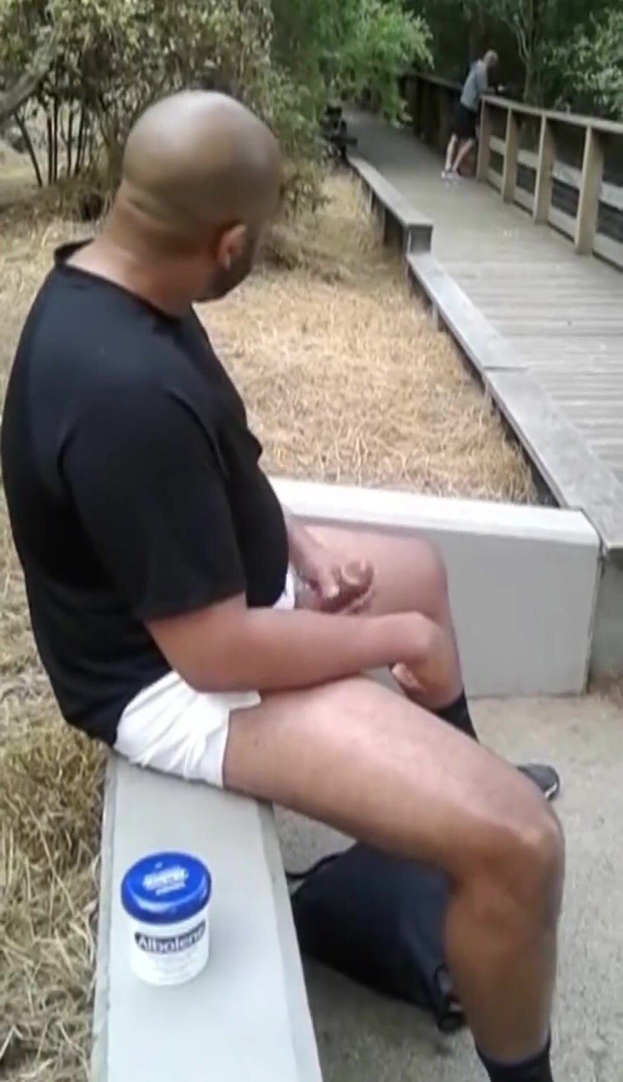 Ape looking to be tamed
