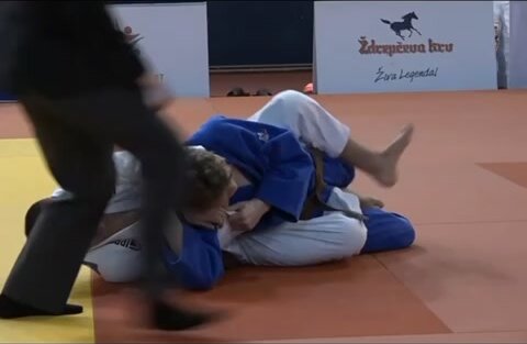 judo submission knockout