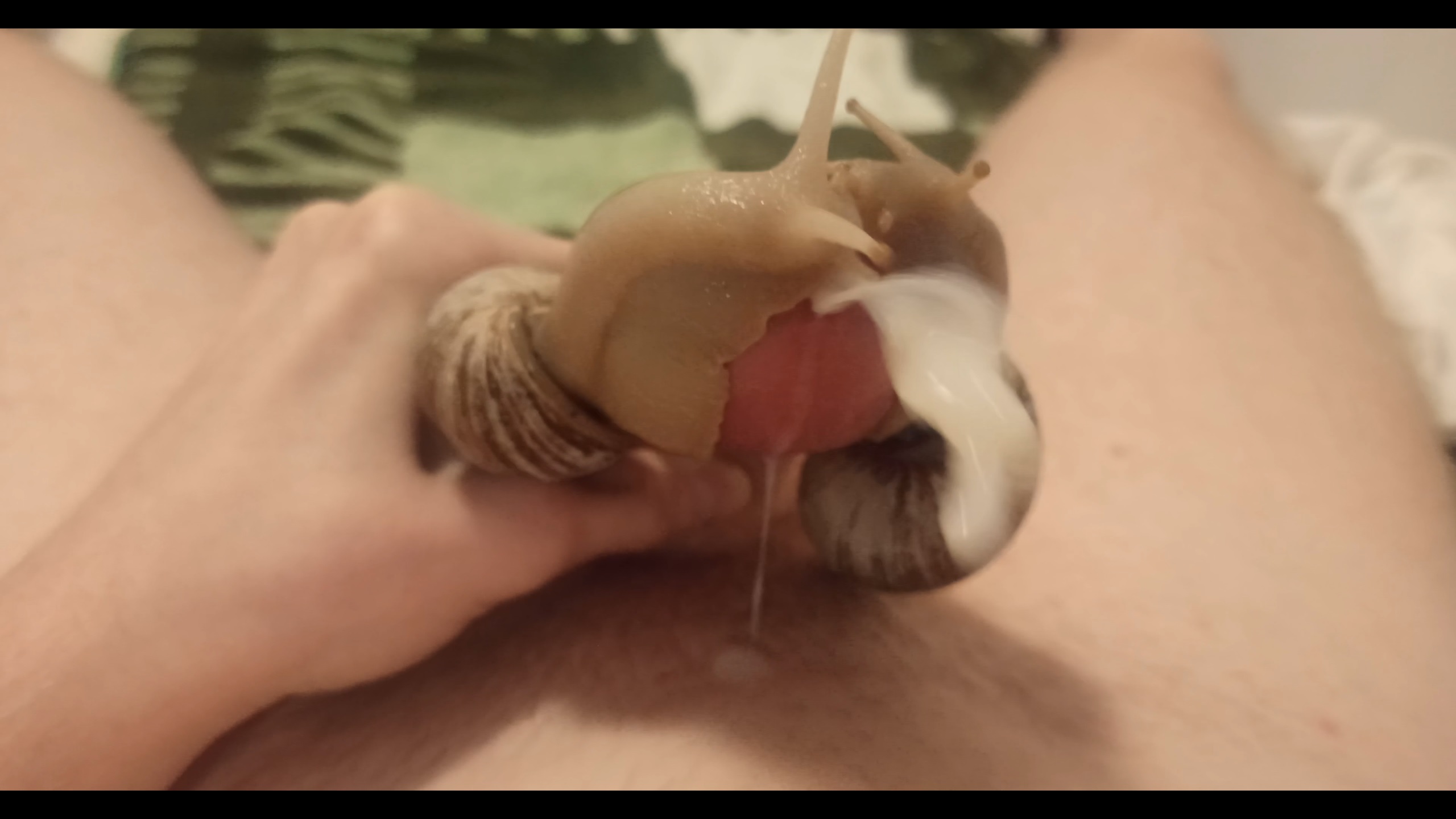 Two giant snails finish the job and make me cum