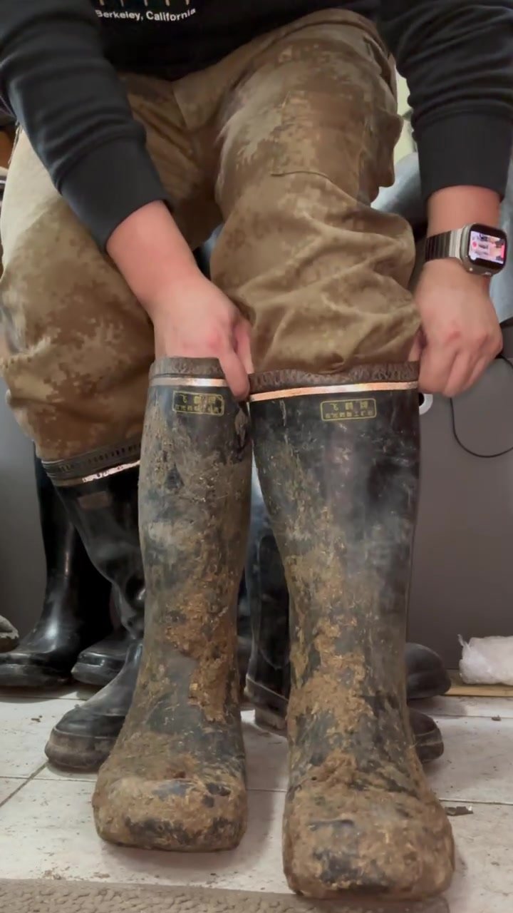 cowshit rubber boots