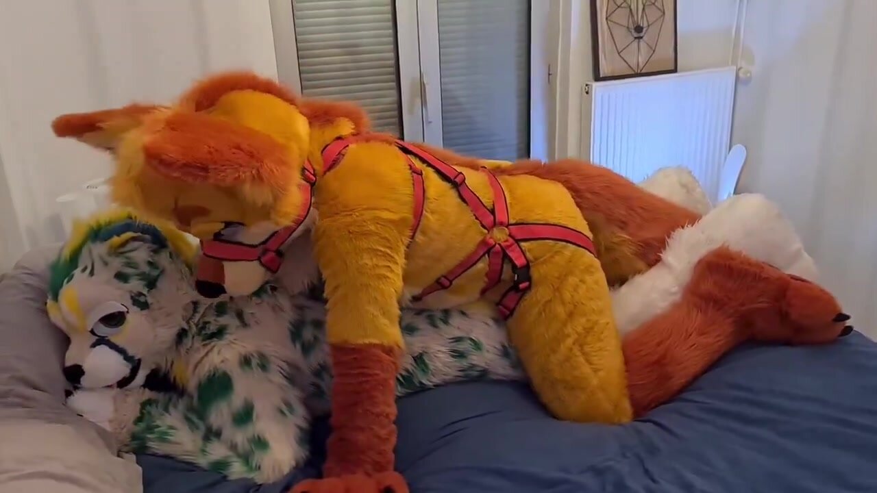 Yote and Kitty | Fursuit