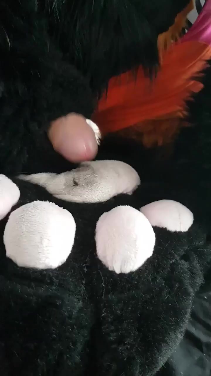 Furruit paw cum up close and in detail