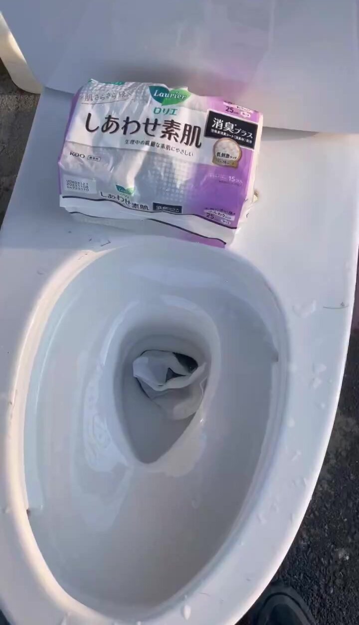 Japanese Sanitary Napkin Flush Test
