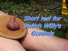 (Short) Genitals "Testing" for Switch Willy