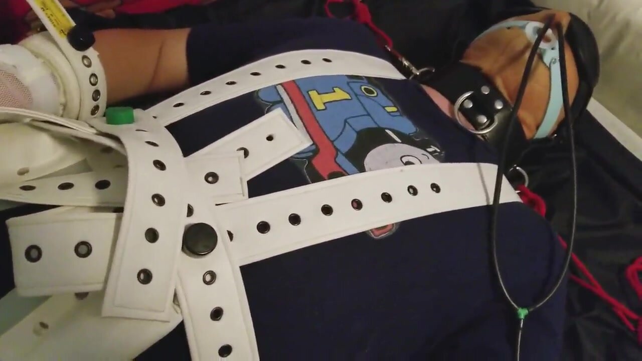 Restrained with segufix and hood in diaper