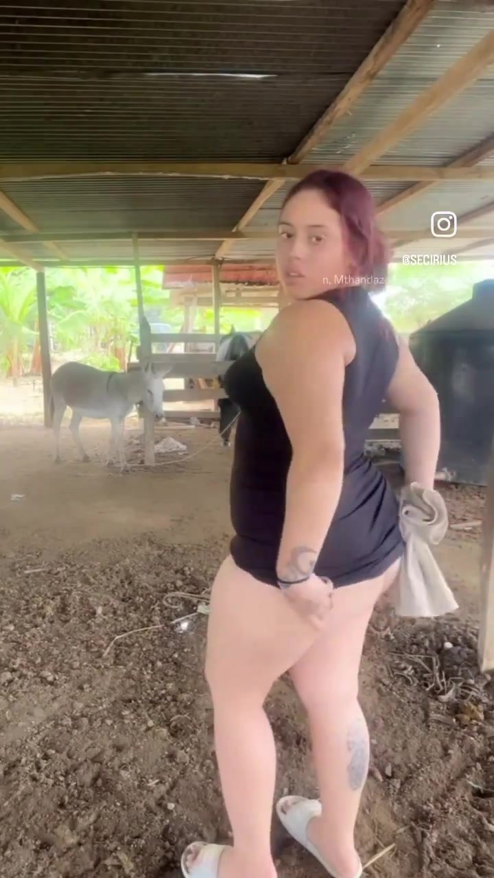 Chick pops a squat in the barn by the horses