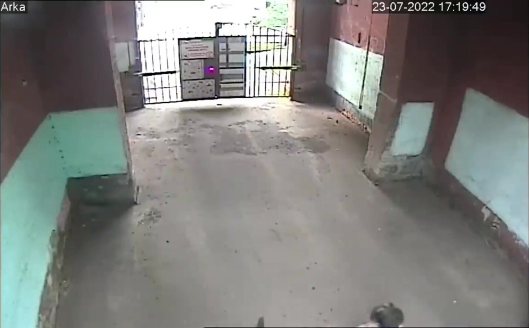 girl on security camera makes big puddle