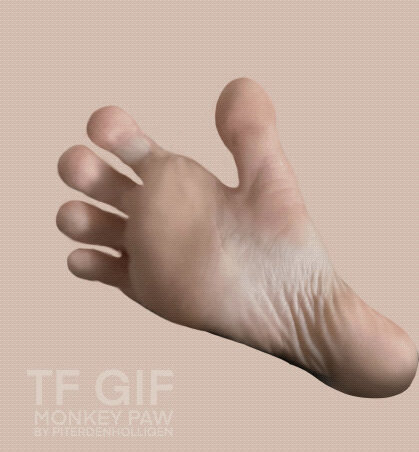 monkey foot morph