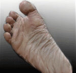 gorilla foot morph