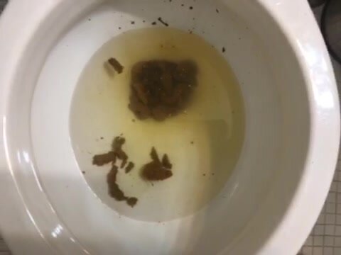 Poop in the toilet - video 5