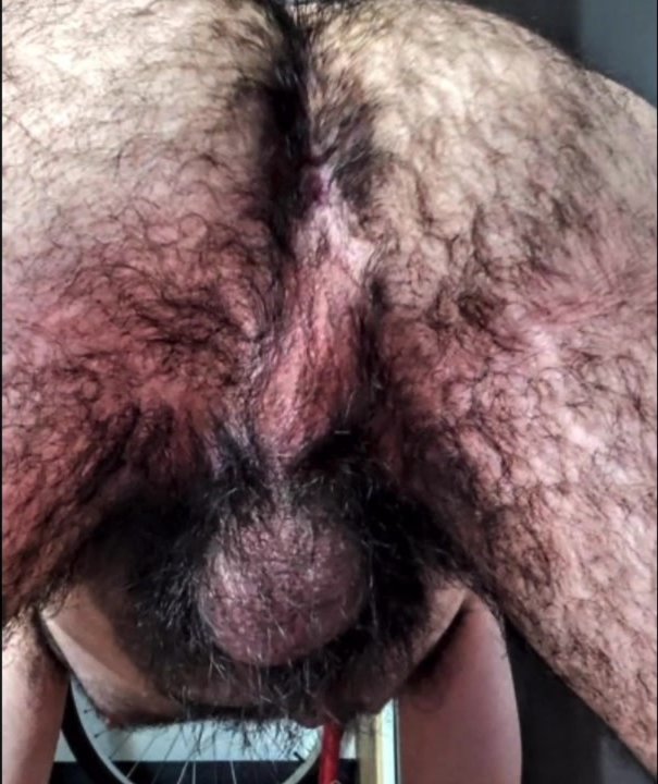 Hairiest asses on the Internet pic compilation (part 1)