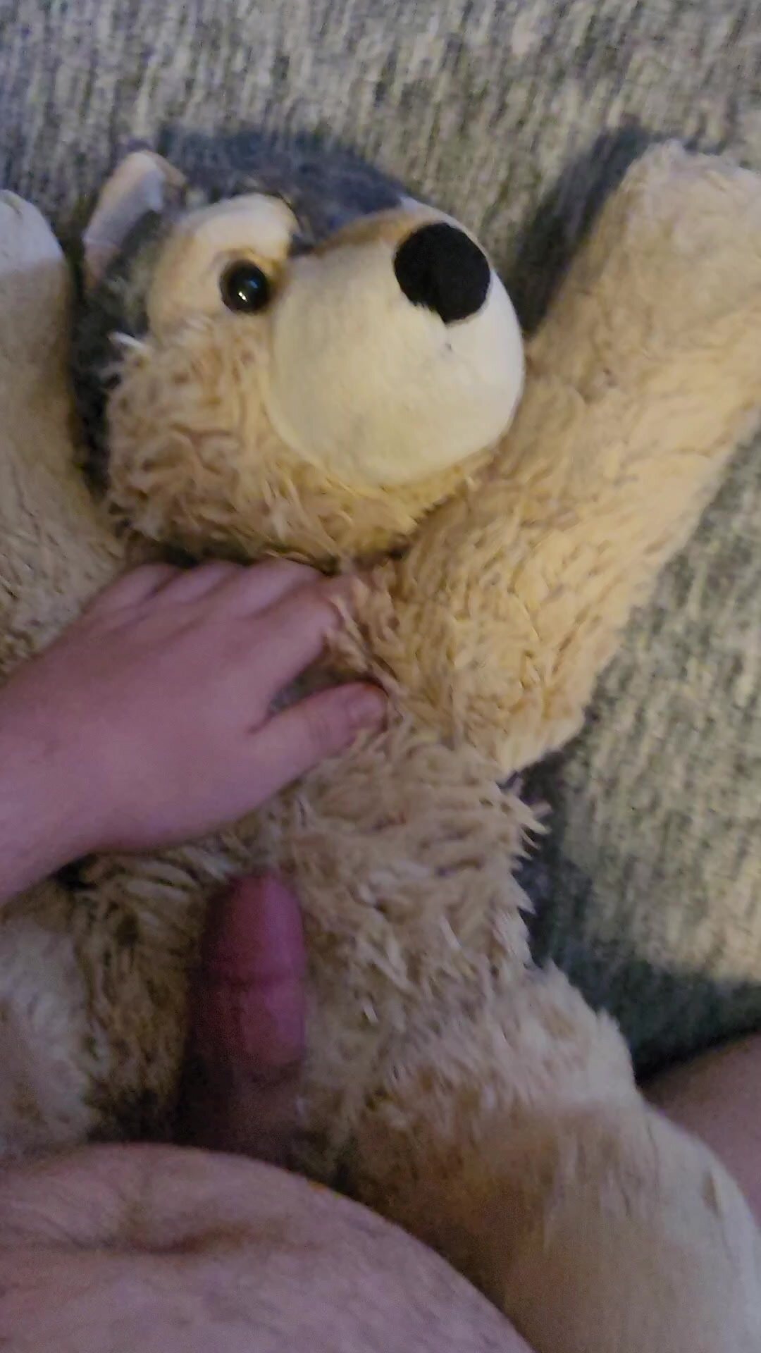 Rubbing against my plushie