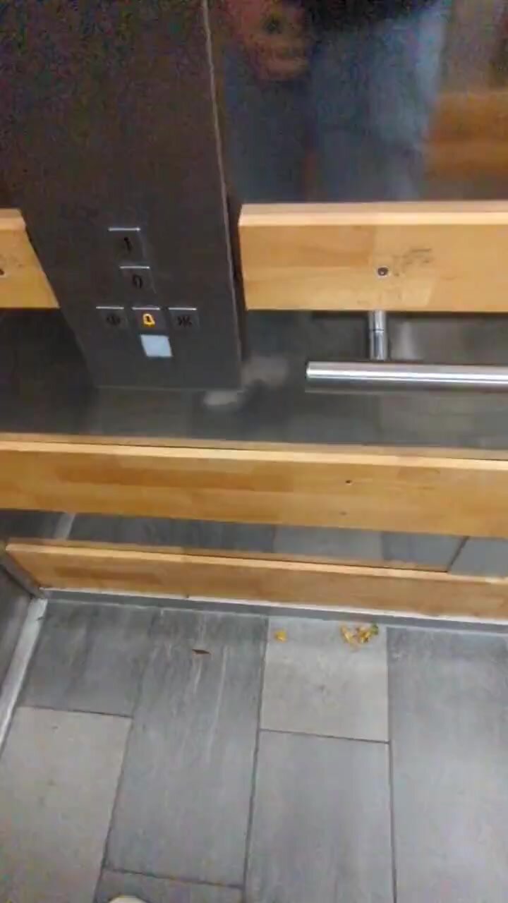 Elevator piss - video 16